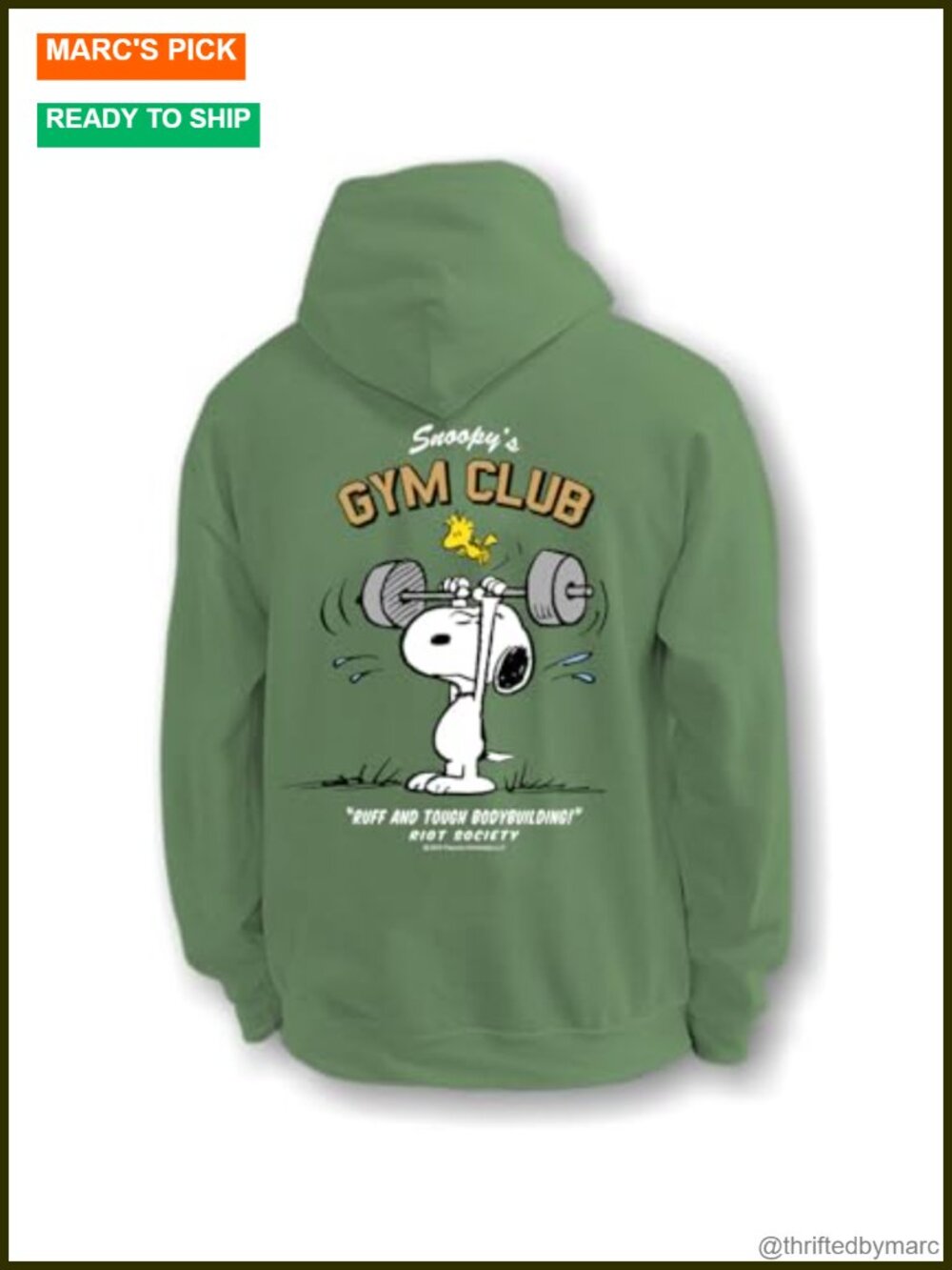 Women's Graphic Peanuts Snoopy Embroidered Hoodie Sweatshirt Activewear